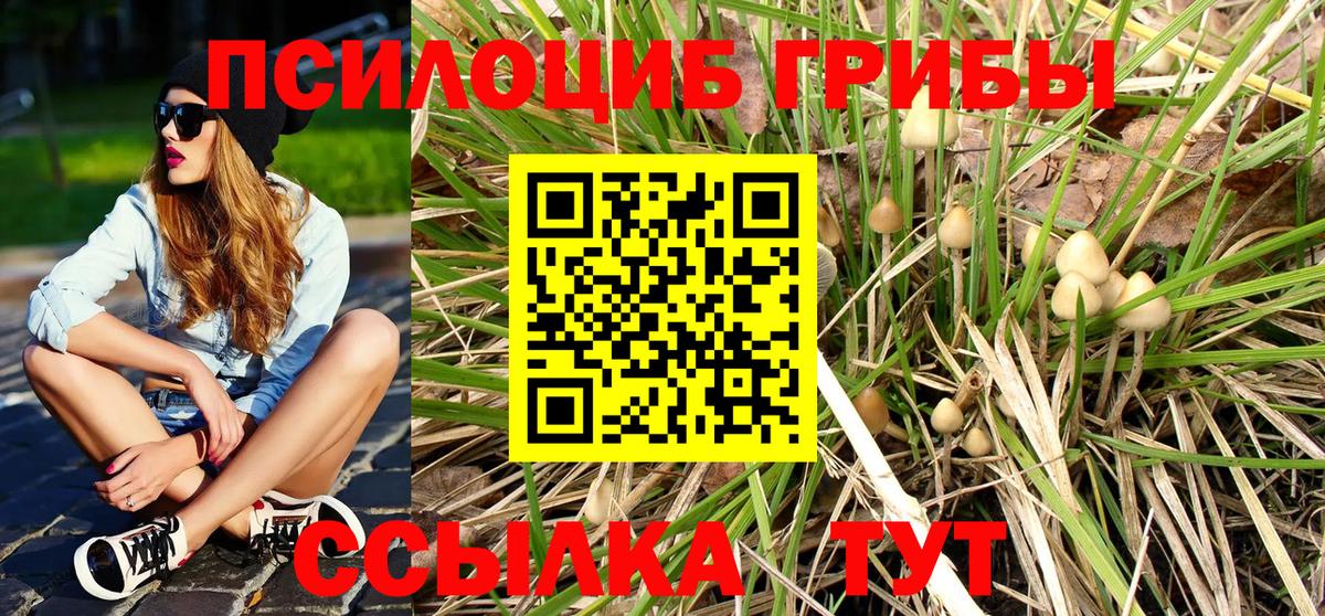 Котовск  Вход с VPN  ГАШИШ  Цена  Экстази  Мефедрон кристаллы  Cocaine  Марихуана 