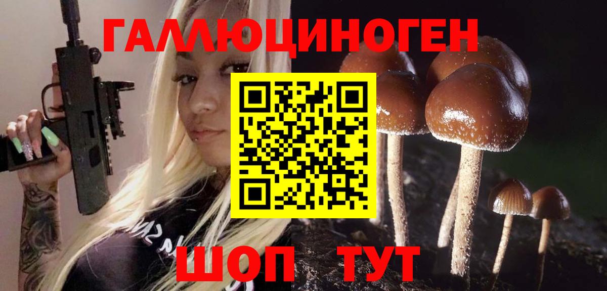 Псилоцибиновые грибы ЛСД  Вход с VPN  Галлюциногенные грибы Psilocybe  Котовск 